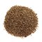 Anise Seed Anise Seed