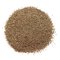 Celery Seeds Celery Seeds