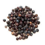 Juniper Berry