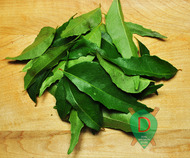 Fresh Curry Leaves
